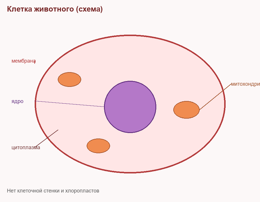 Фигура 2