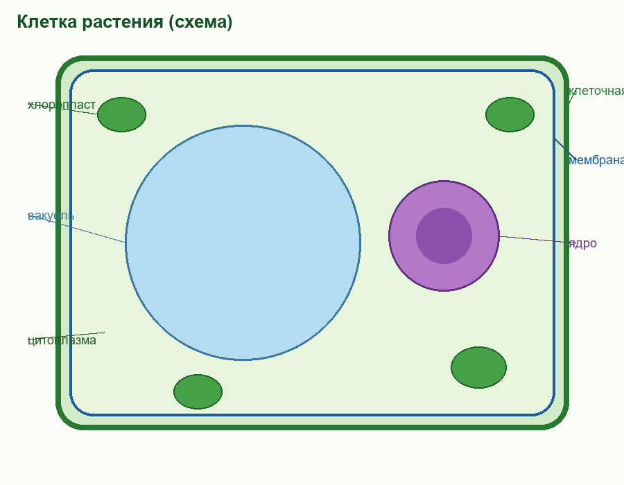 Фигура 1