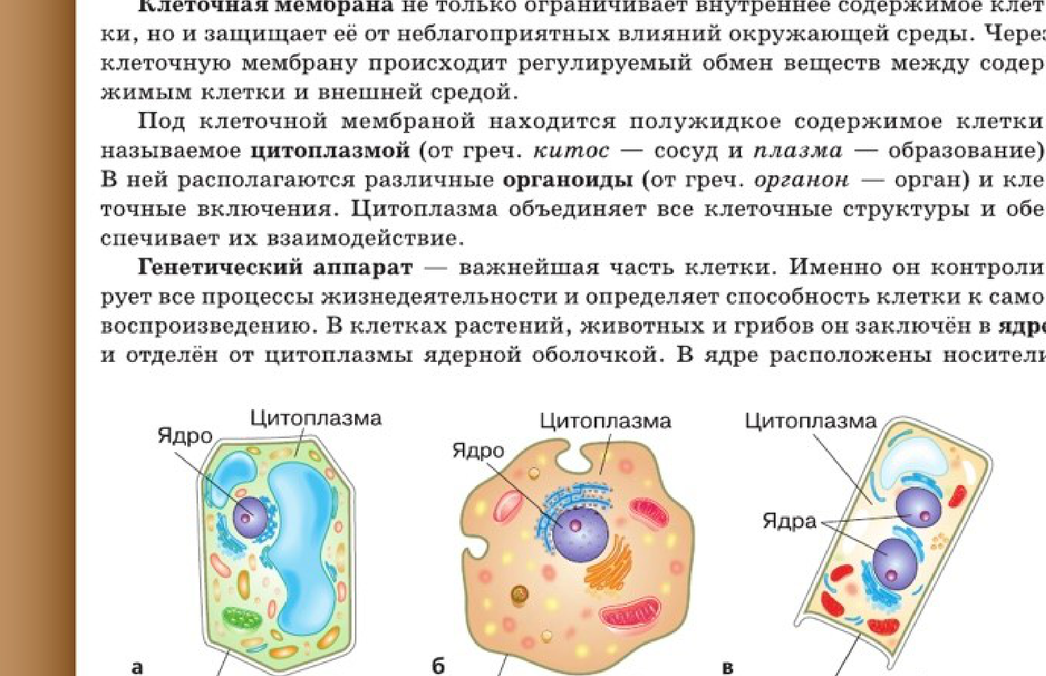 Фигура 1