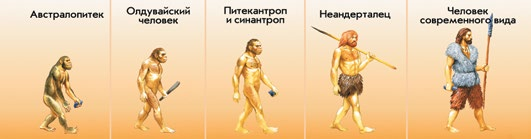 Фигура 1