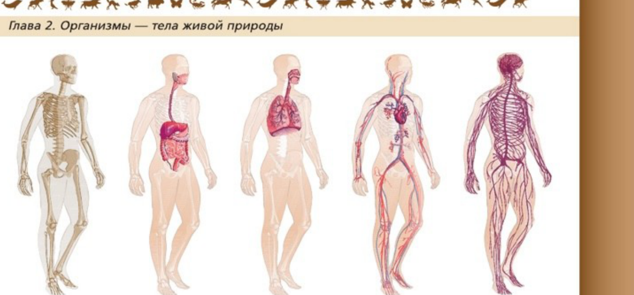 Фигура 1