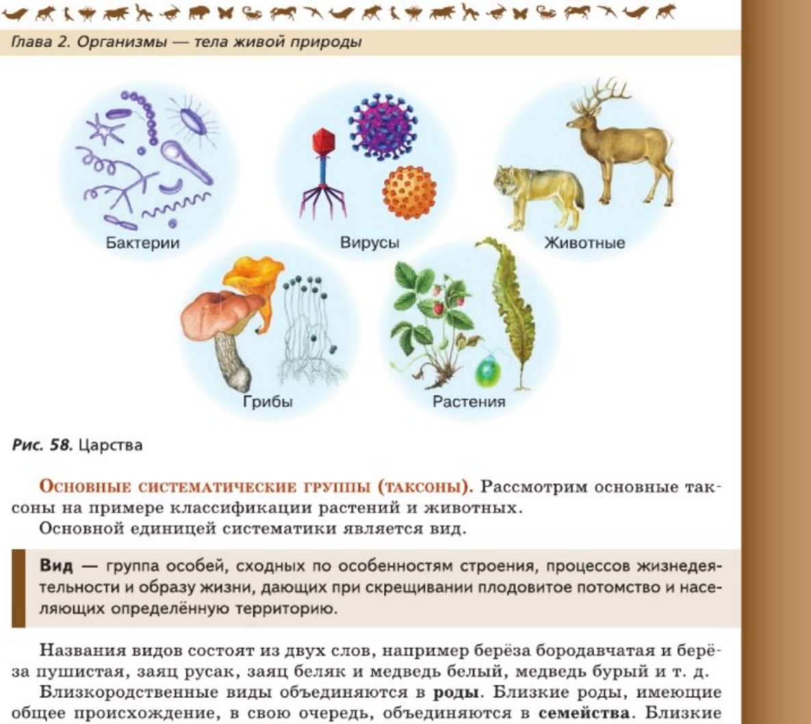 Фигура 1