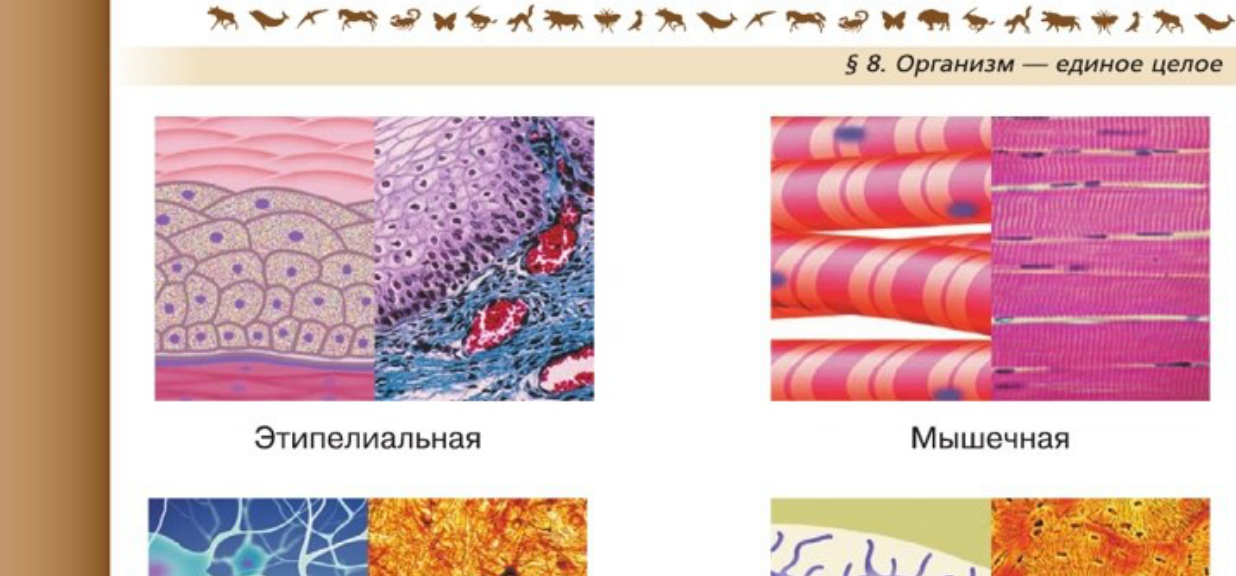 Фигура 1
